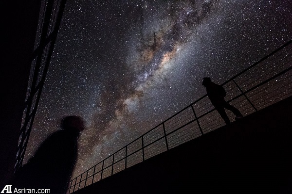 حقایقی شگفت انگیز درباره میکروبهای ساکن بدن انسان حقایقی شگفت انگیز درباره میکروبهای ساکن بدن انسان