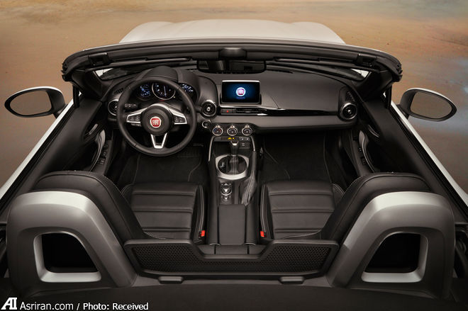 سیب ایتالیایی زیر درخت ژاپنی سیب ایتالیایی زیر درخت ژاپنی