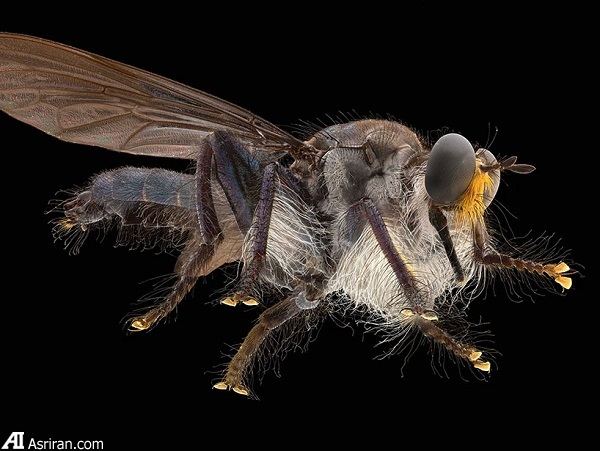 وقتی با وقتی با