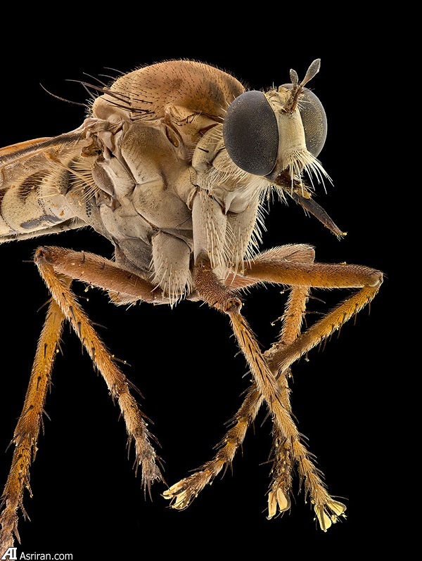 وقتی با وقتی با