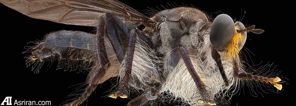 وقتی با وقتی با