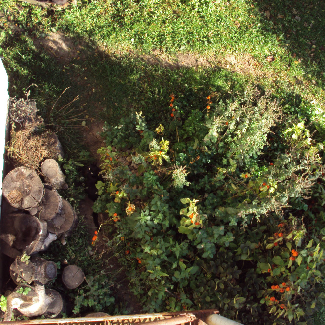 5 تست تصویری جالب برای تقویت چشم و مغز: گربه ها را پیدا کنید 5 تست تصویری جالب برای تقویت چشم و مغز: گربه ها را پیدا کنید